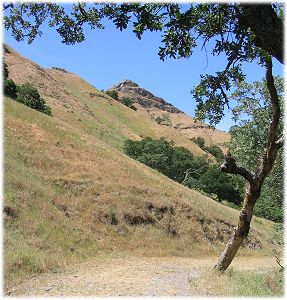 trail circling the Maguire Peaks, Sunol Regional Wilderness